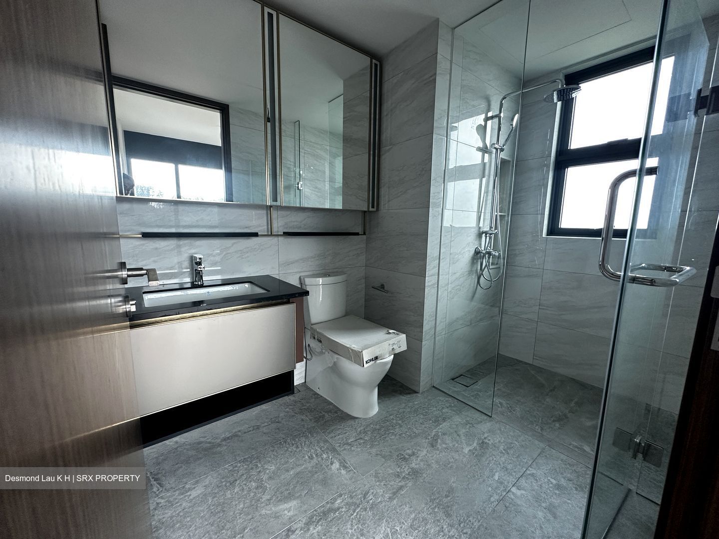 Normanton Park (D5), Apartment #503212911